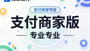 码支付商家版