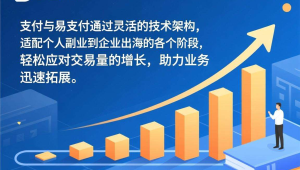 从个人副业到企业出海，码支付与易支付适配不同发展阶段