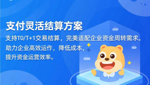 支持T0/T+1灵活结算，易支付适配企业资金周转需求