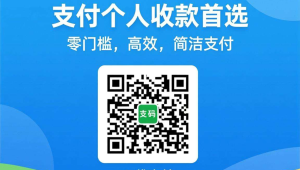 即开即用零门槛，码支付个人收款首选